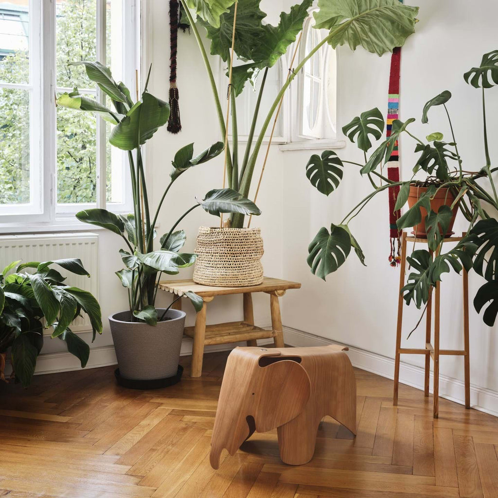 Eames Elephant Plywood från Vålamagasinet Övriga inredningsdetaljer, Vitra, Image-2