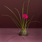 Äng Pond från Vålamagasinet Krukor och vaser, Klong, Image-6