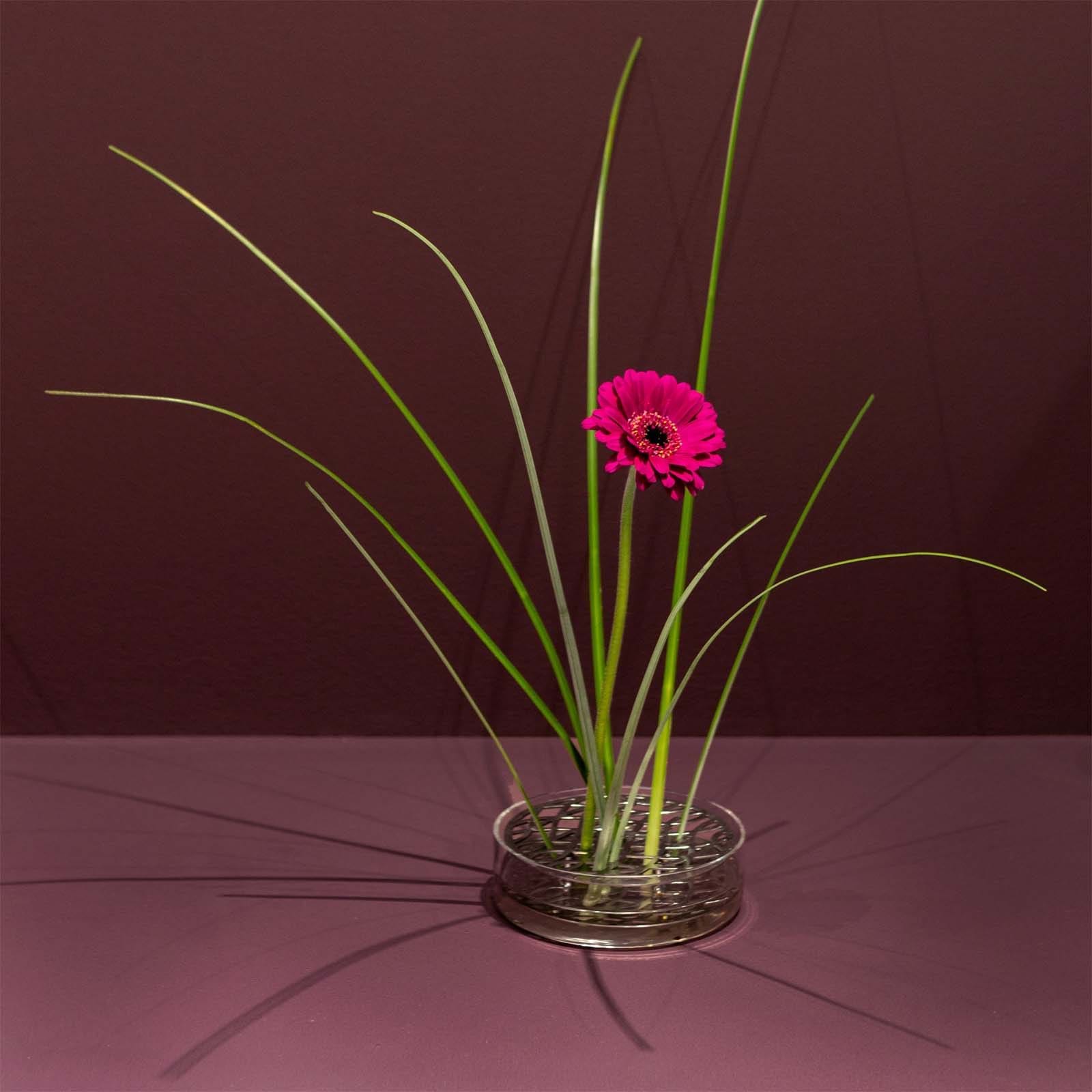 Äng Pond från Vålamagasinet Krukor och vaser, Klong, Image-6