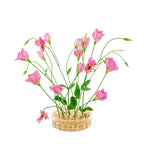 Äng Pond från Vålamagasinet Krukor och vaser, Klong, Image-2