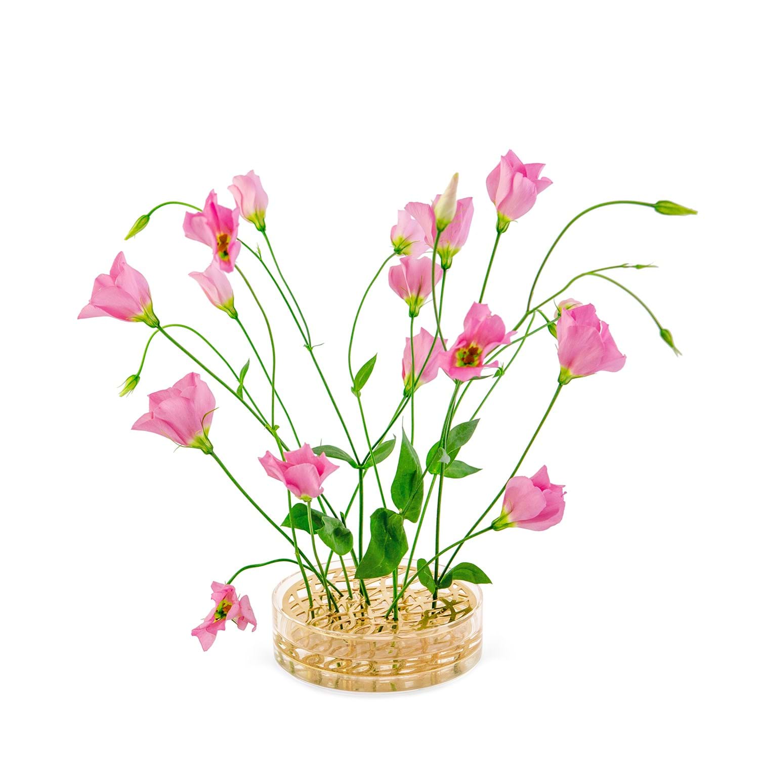 Äng Pond från Vålamagasinet Krukor och vaser, Klong, Image-2