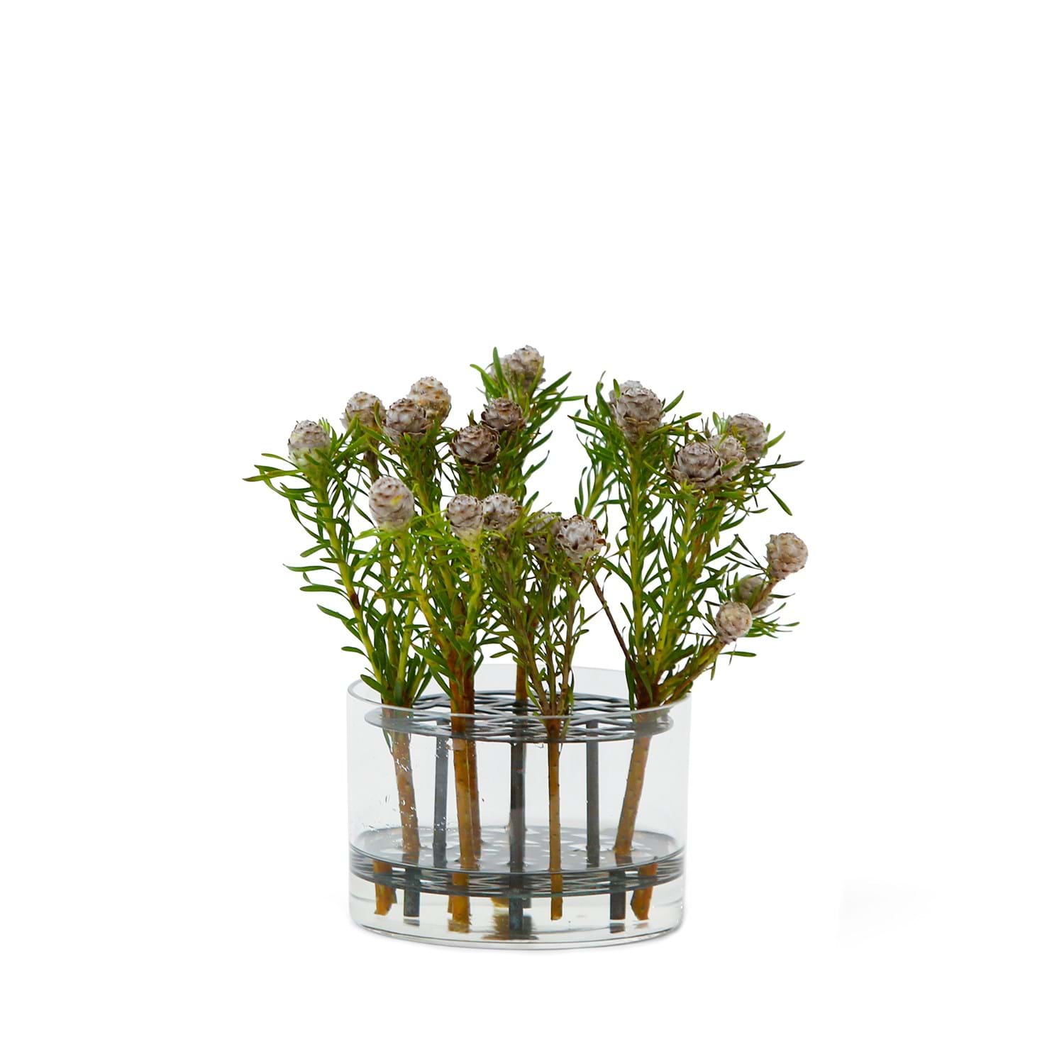 Äng Vas Liten från Vålamagasinet Krukor och vaser, Klong, Image-2