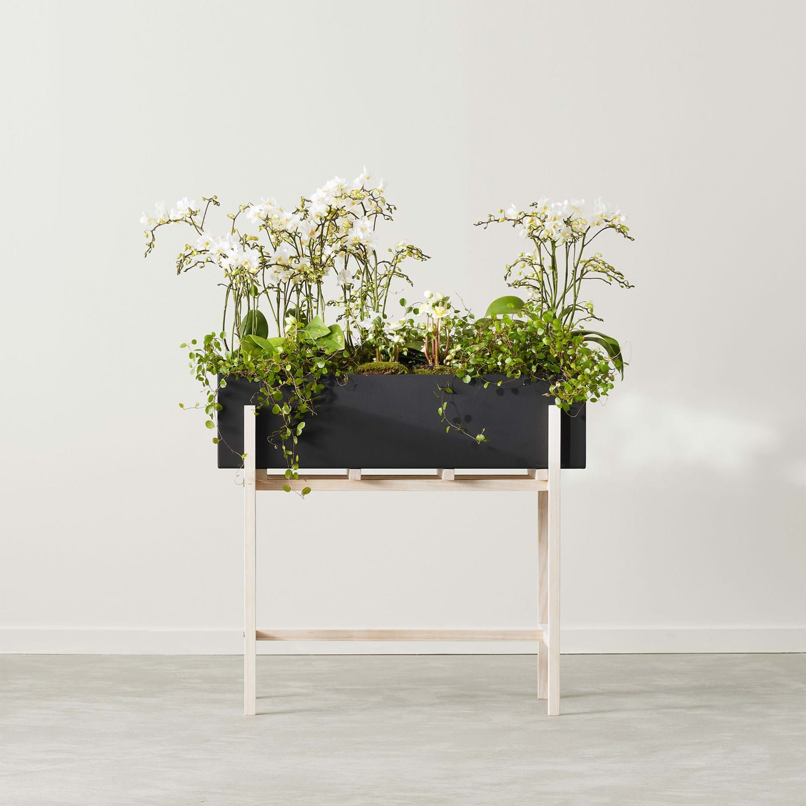 Botanic stand från Vålamagasinet Krukor och vaser, Design House Stockholm, Image-2