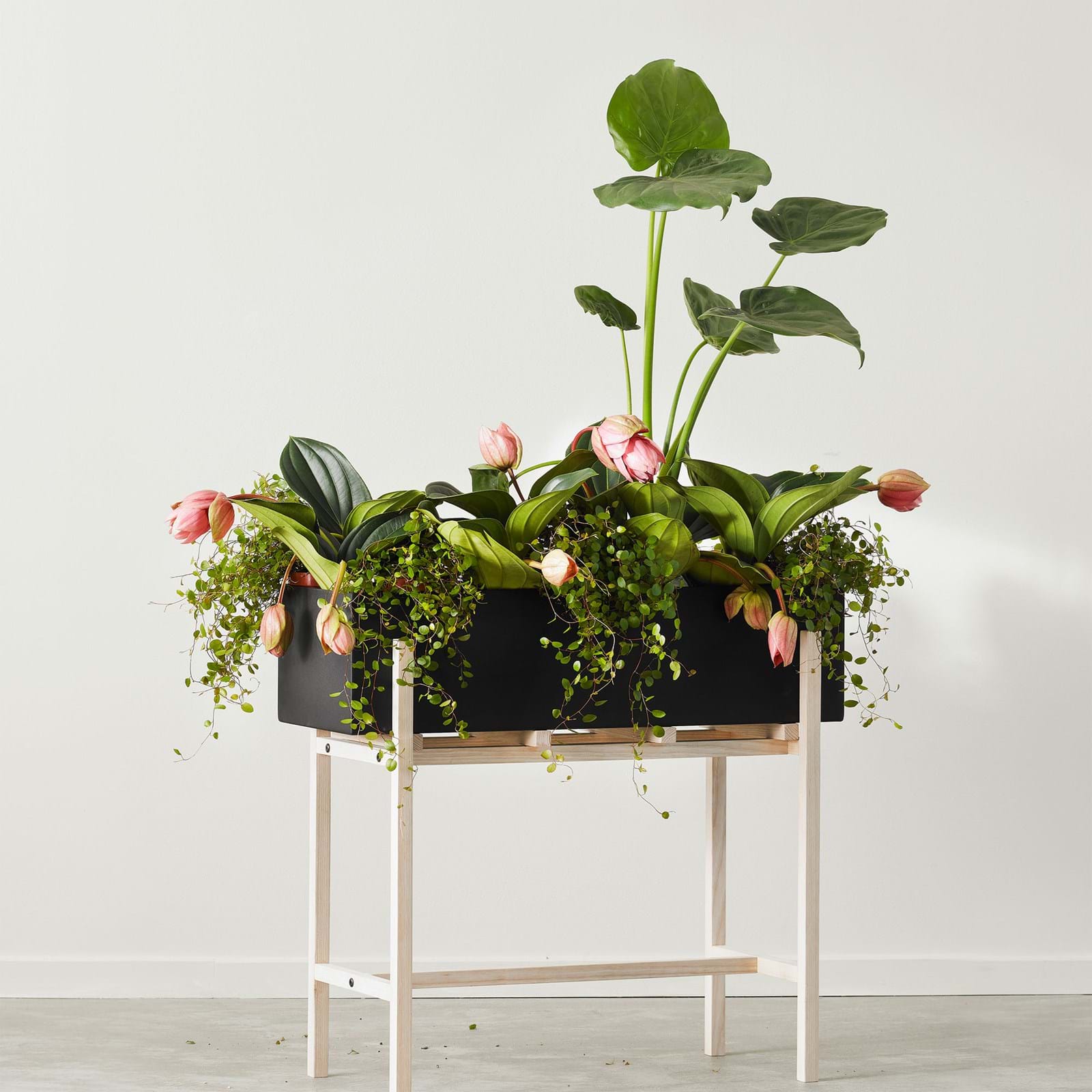 Botanic stand från Vålamagasinet Krukor och vaser, Design House Stockholm, Image-3