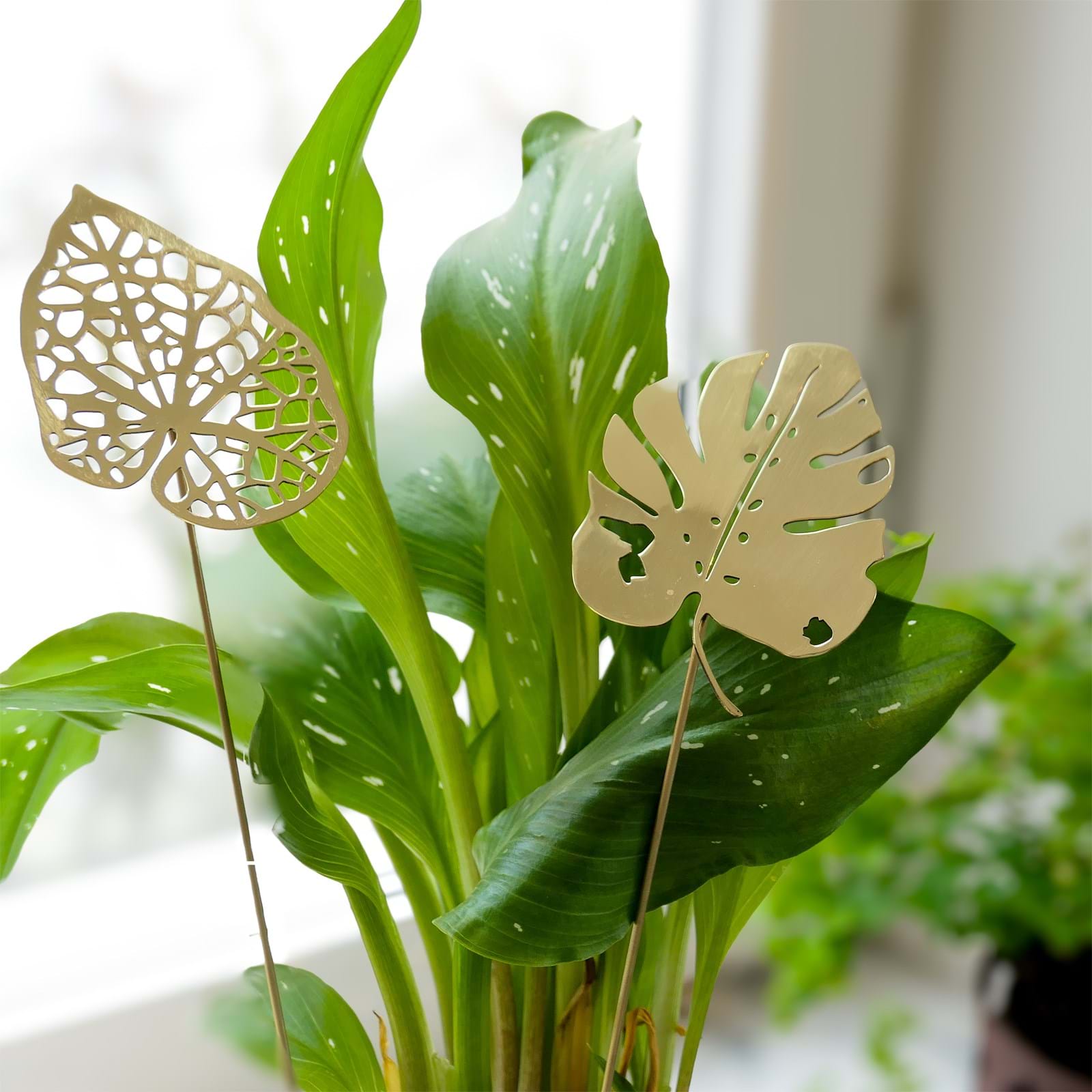 Brass Leave 2-Pack från Vålamagasinet Övriga inredningsdetaljer, Klong, Image-3