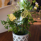 Brass Leave 2-Pack från Vålamagasinet Övriga inredningsdetaljer, Klong, Image-4