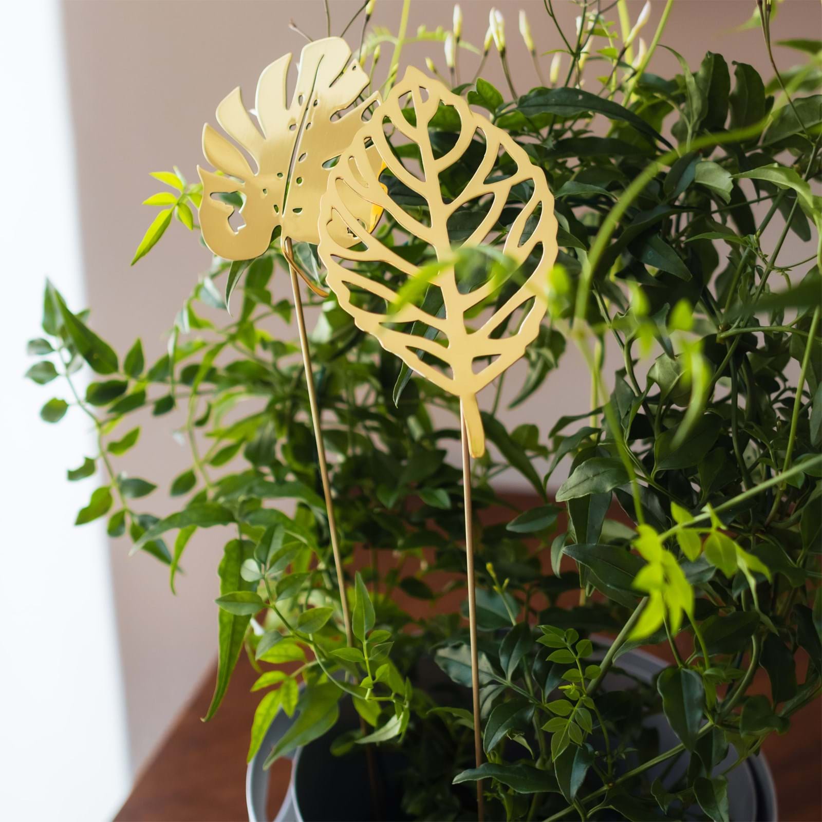 Brass Leave 2-Pack från Vålamagasinet Övriga inredningsdetaljer, Klong, Image-5