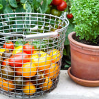 Bucket 16 från Vålamagasinet Småförvaring, Korbo, Image-6