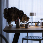 Fleur Table Lamp från Vålamagasinet Bordslampor, Foscarini, Image-6