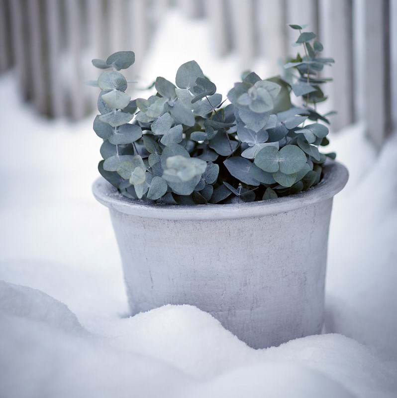 Cilla Med Fat från Vålamagasinet Krukor och vaser, Byarums Bruk, Image-2