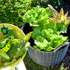 Planteringsäck Korbo från Vålamagasinet Övrigt utemöbler, Korbo, Image-2