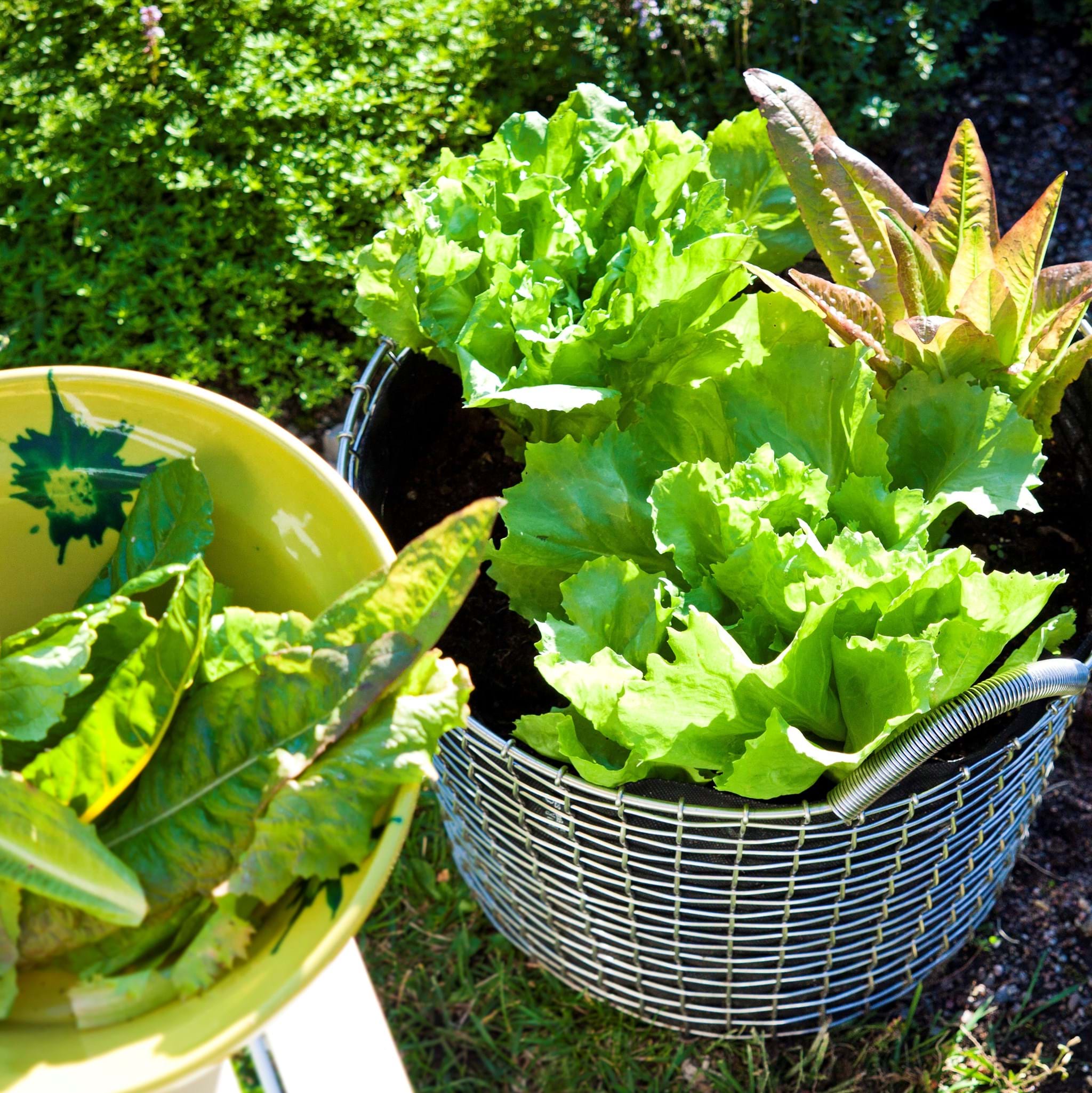 Planteringsäck Korbo från Vålamagasinet Övrigt utemöbler, Korbo, Image-2