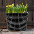 Classic 50 från Vålamagasinet Småförvaring, Korbo, Image-7