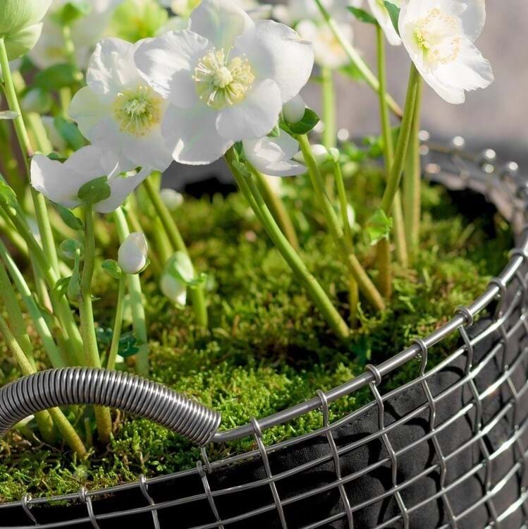 Classic 50 från Vålamagasinet Småförvaring, Korbo, Image-8