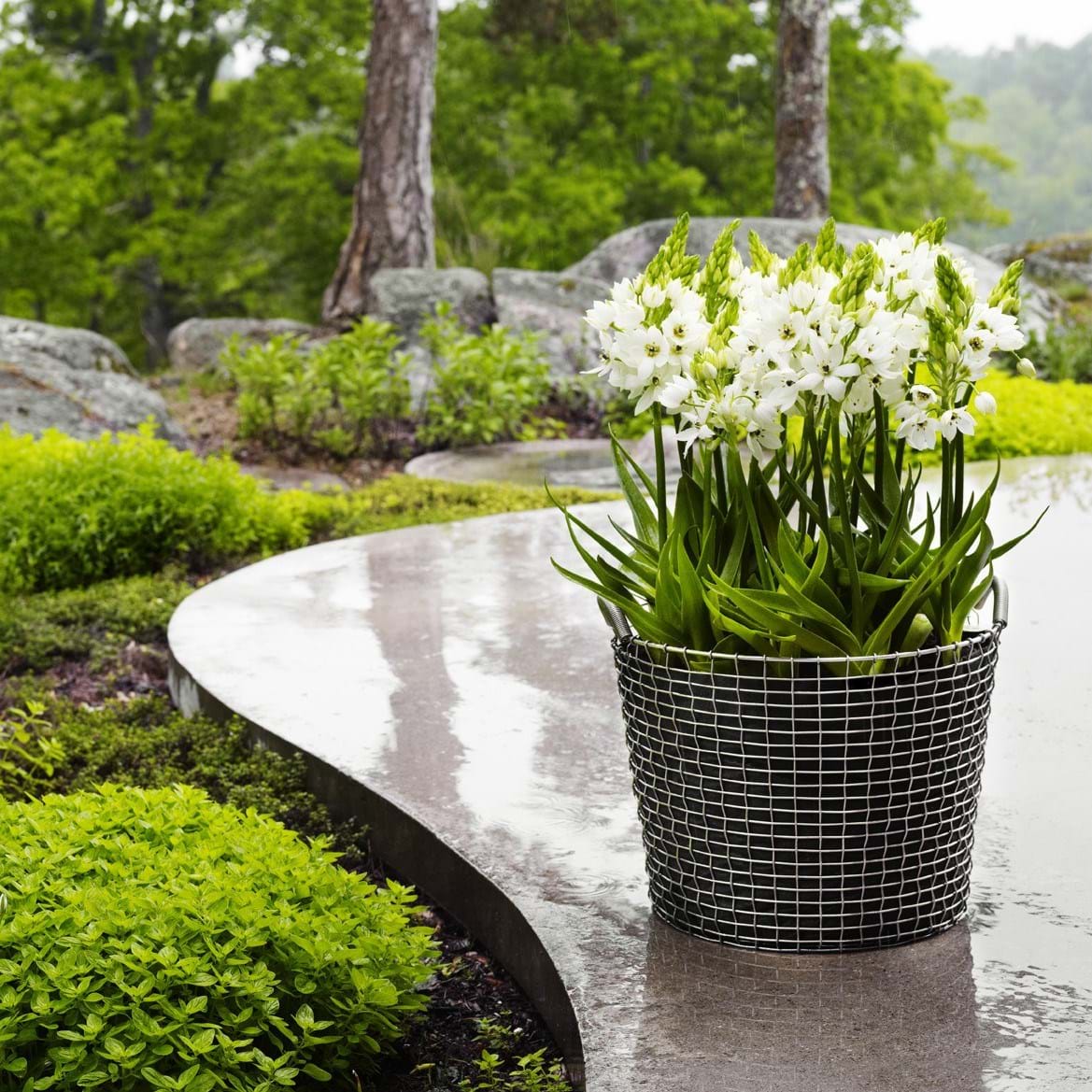 Classic 50 från Vålamagasinet Småförvaring, Korbo, Image-2