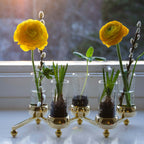 Constella 5 från Vålamagasinet Ljusstakar och ljuslyktor, Klong, Image-4