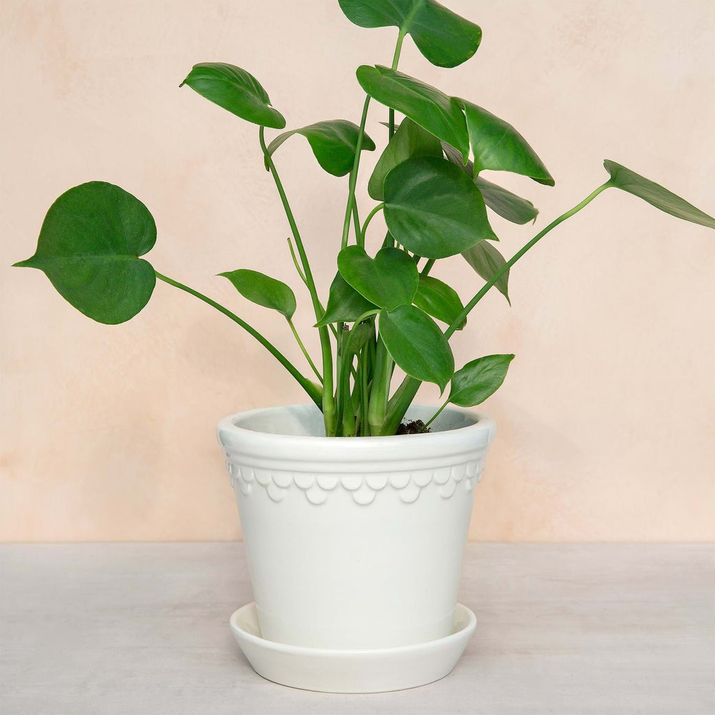 Copenhagen Pot 16 cm från Vålamagasinet Krukor och vaser, Bergs Potter, Image-4