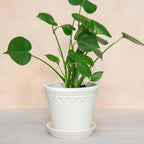 Copenhagen Pot 14 cm från Vålamagasinet Krukor och vaser, Bergs Potter, Image-4