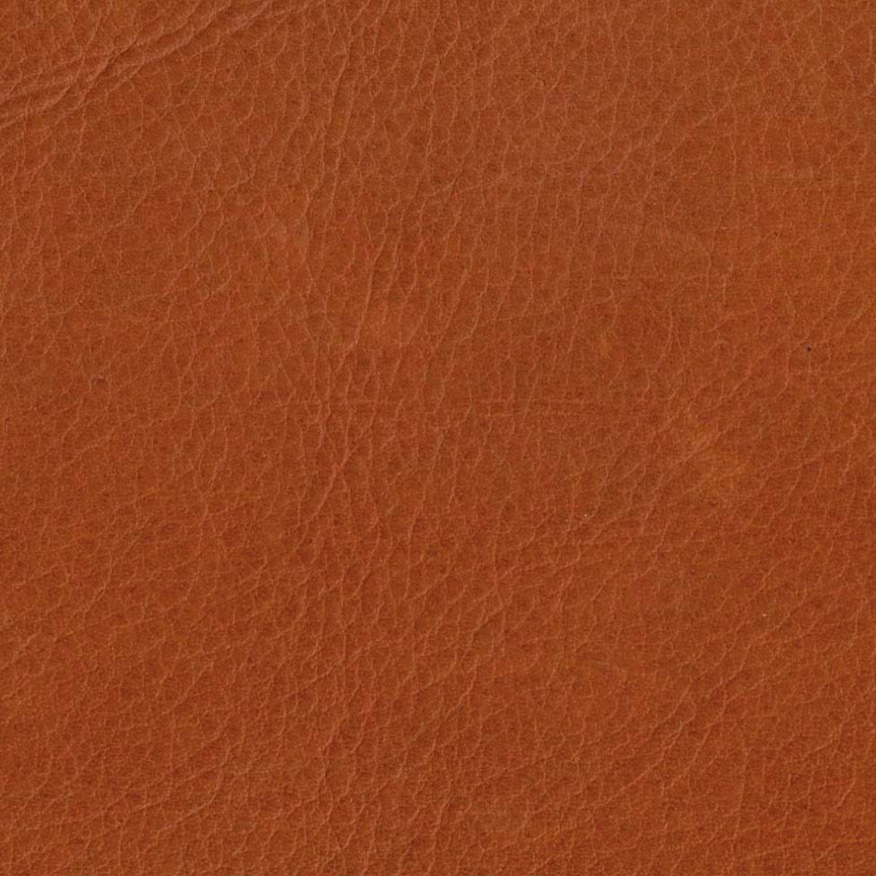 Jetson Fåtölj Dakota Läder från Vålamagasinet Fåtöljer, Dux, Image-1