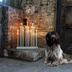 Elflugan Grande Elljusstake från Vålamagasinet Adventsbelysning, Elflugan, Image-4