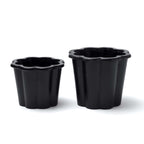 Fjällsippa Kruka Svart från Vålamagasinet Krukor och vaser, Byarums Bruk, Image-4