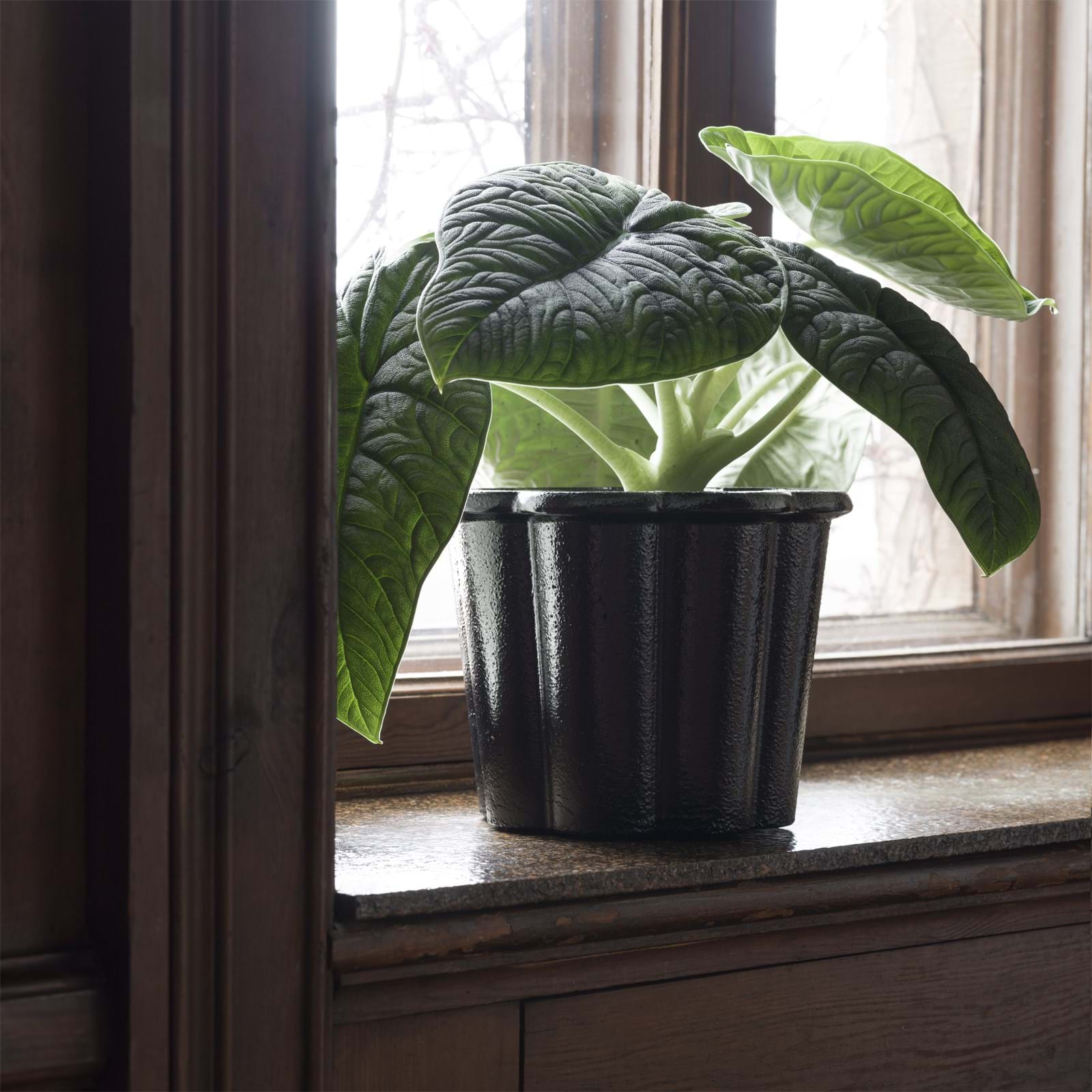 Fjällsippa Kruka Svart från Vålamagasinet Krukor och vaser, Byarums Bruk, Image-2