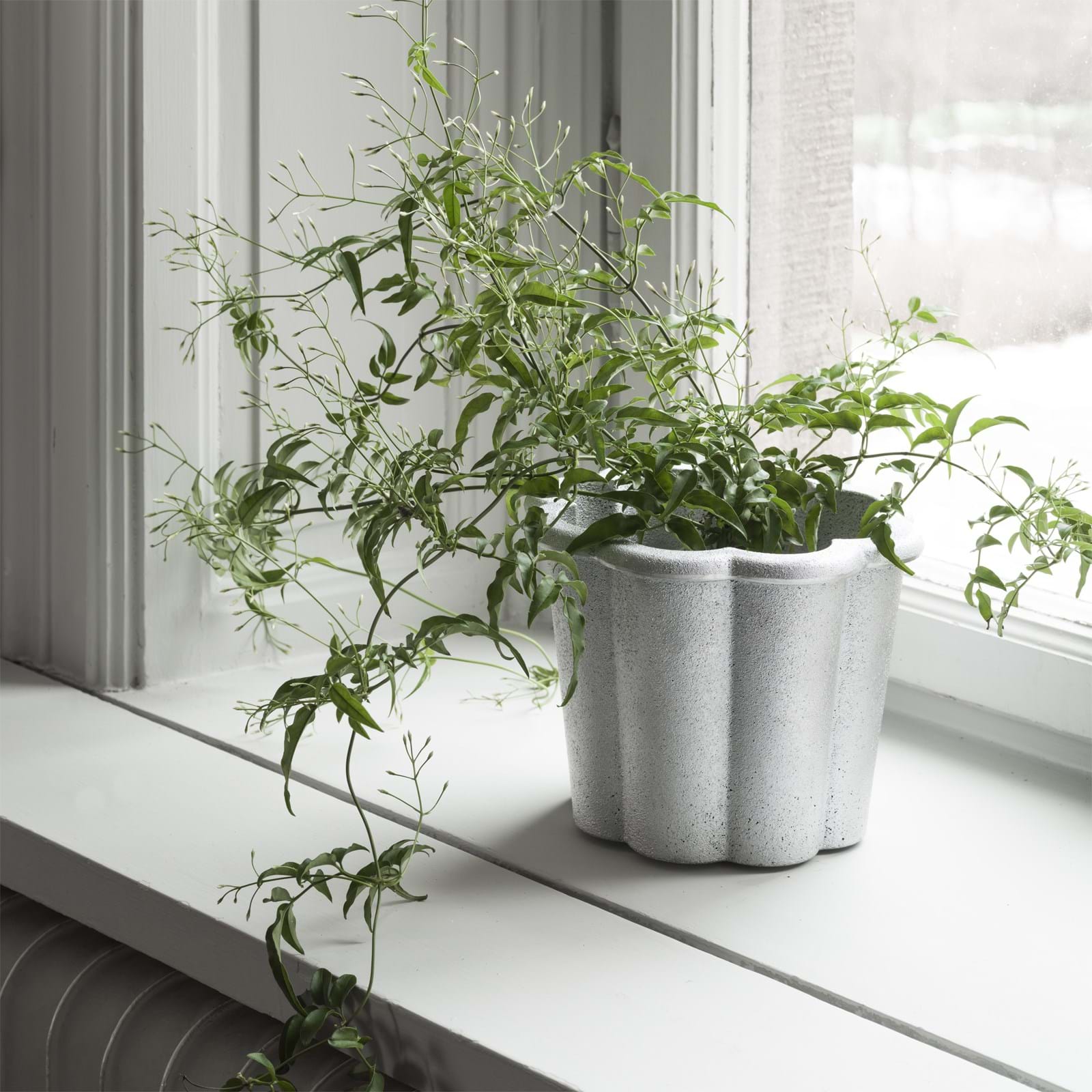 Fjällsippa Kruka Aluminium från Vålamagasinet Krukor och vaser, Byarums Bruk, Image-4