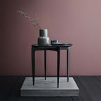 Tray Bord från Vålamagasinet Sidobord, Fritz Hansen, Image-3