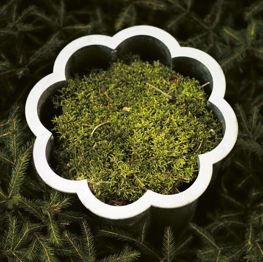 Gråsippa Kruka Aluminium från Vålamagasinet Övrigt utemöbler, Byarums Bruk, Image-3