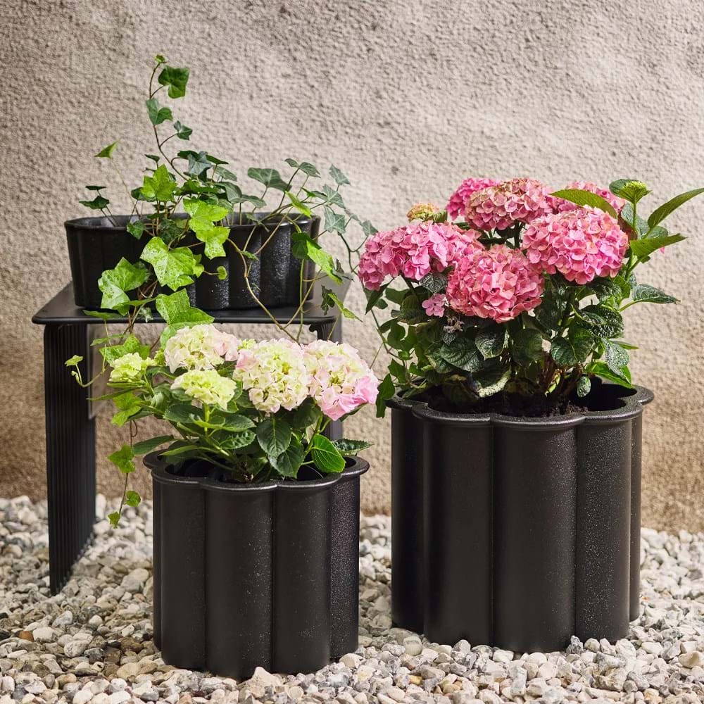 Gråsippa Kruka Svart från Vålamagasinet Övrigt utemöbler, Byarums Bruk, Image-2