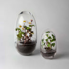 Grow Greenhouse från Vålamagasinet Krukor och vaser, Design House Stockholm, Image-4