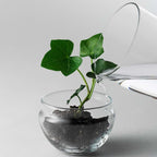 Grow Greenhouse från Vålamagasinet Krukor och vaser, Design House Stockholm, Image-5