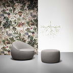 Heracleum III Large från Vålamagasinet Taklampor, Moooi, Image-2