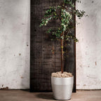 Harvest Kruka från Vålamagasinet Krukor och vaser, SMD Design, Image-2