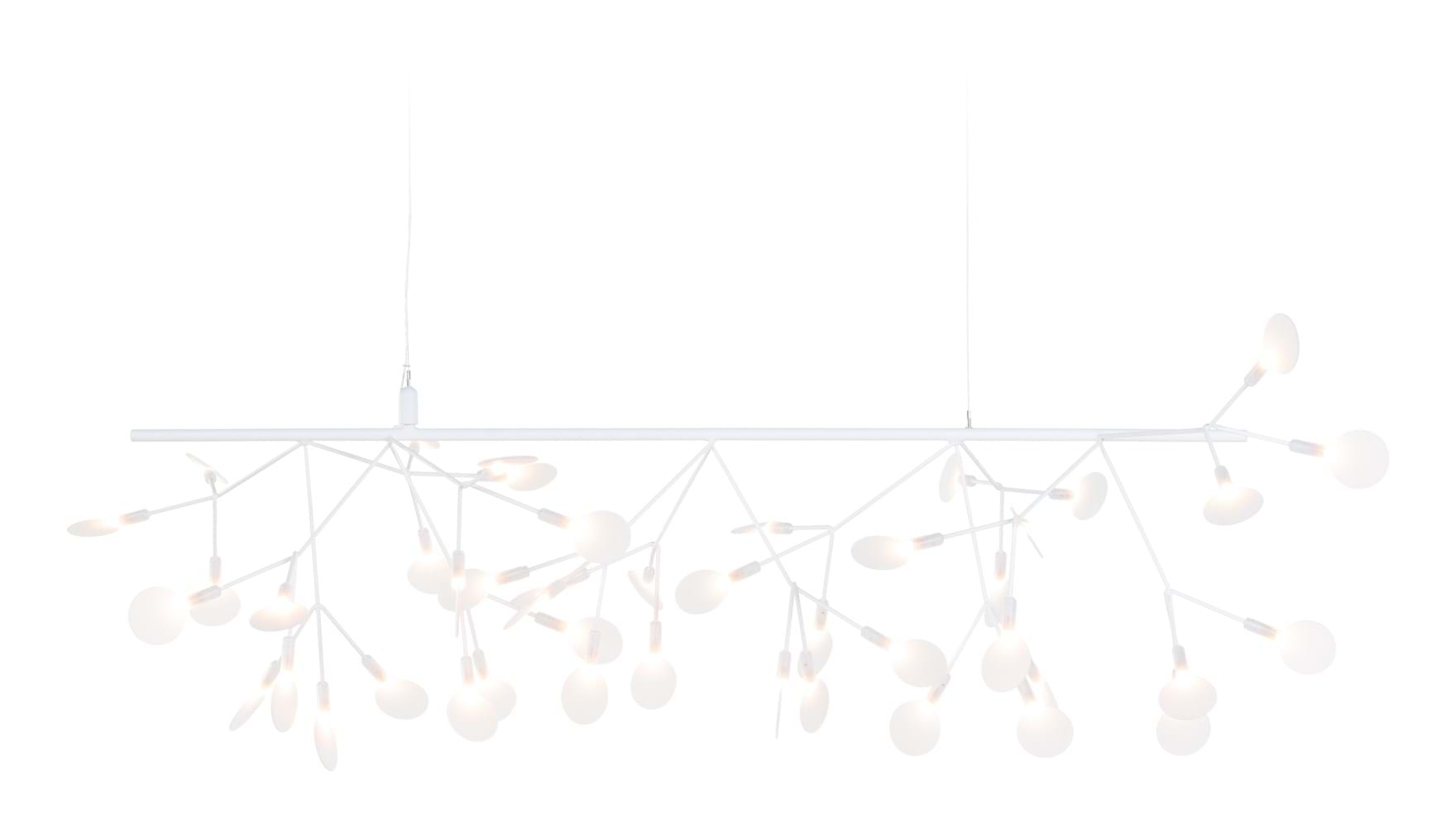 Heracleum III Endless från Vålamagasinet Taklampor, Moooi, Image-1