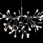 Heracleum III Large från Vålamagasinet Taklampor, Moooi, Image-3