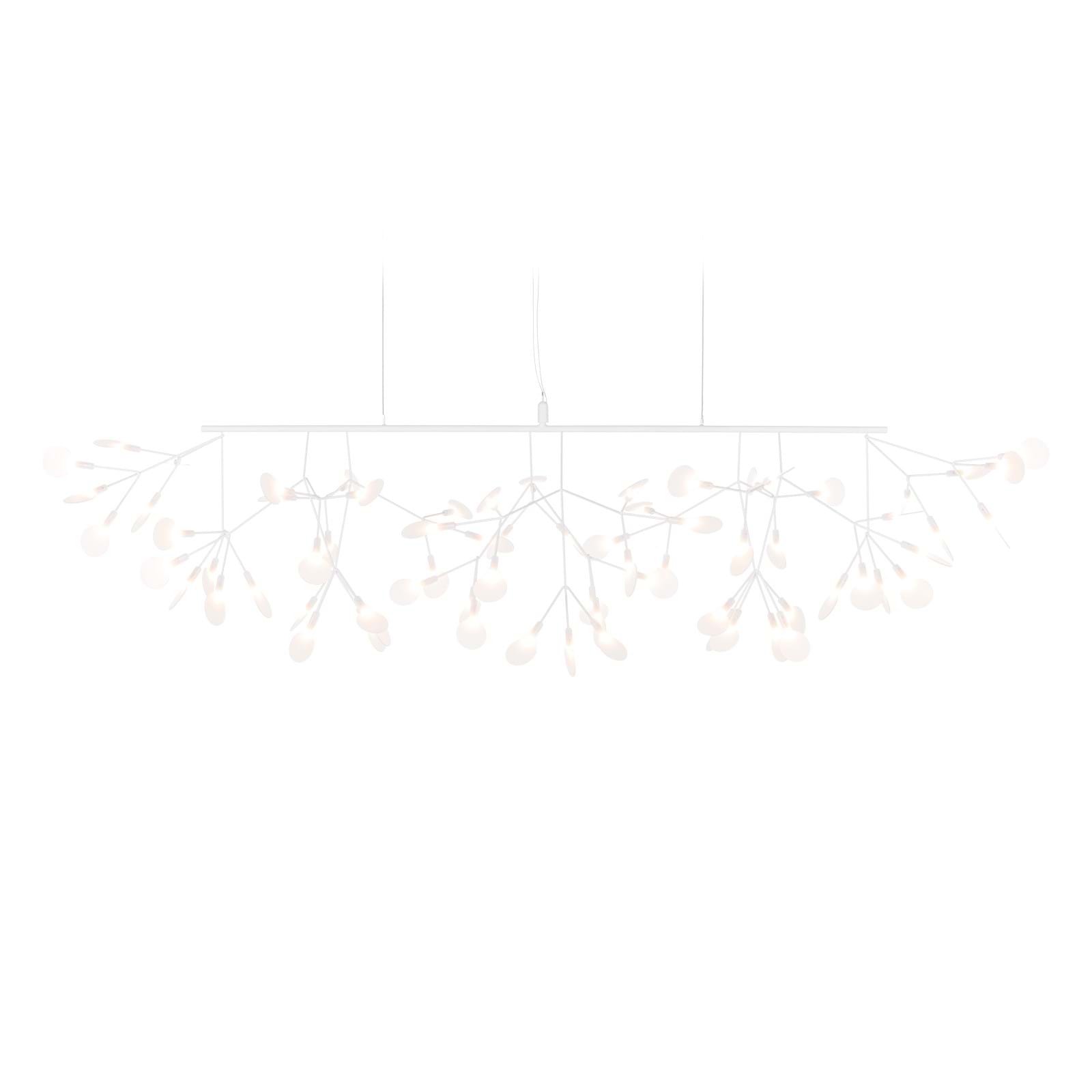 Heracleum III Linear från Vålamagasinet Taklampor, Moooi, Image-1