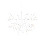 Heracleum III Small från Vålamagasinet Taklampor, Moooi, Image-1