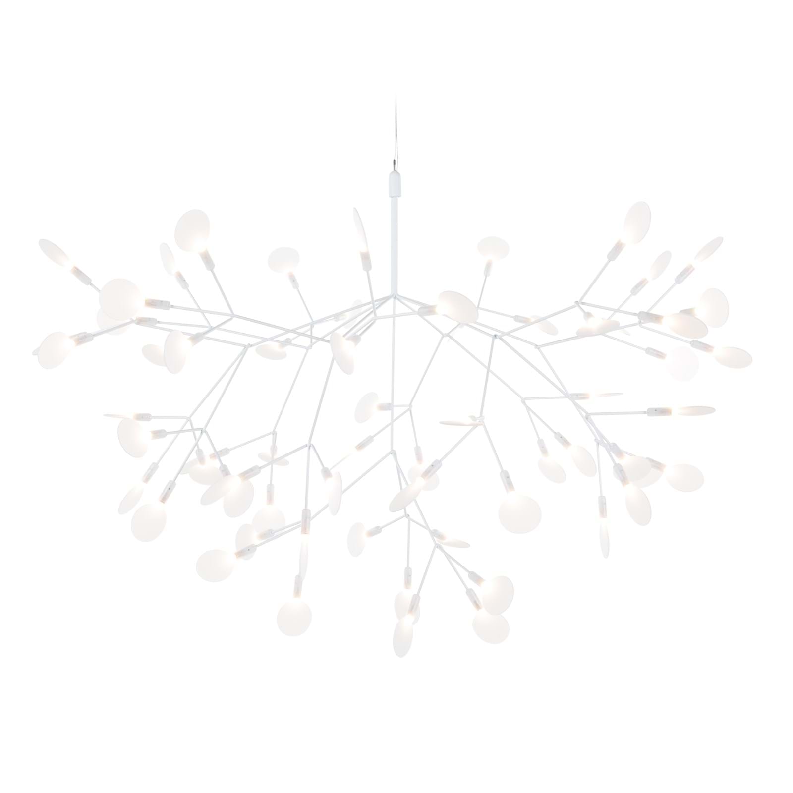 Heracleum III Large från Vålamagasinet Taklampor, Moooi, Image-1