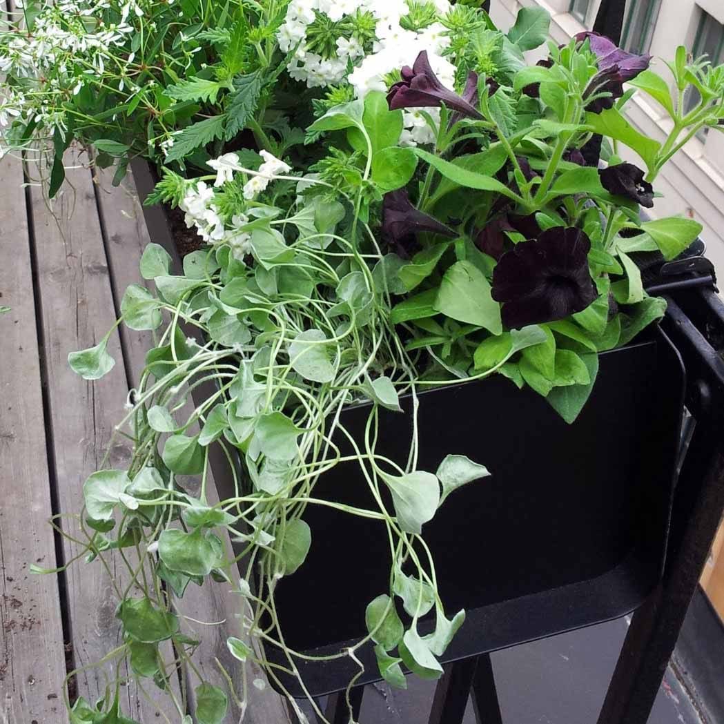 Jorda Balkonglåda från Vålamagasinet Övrigt utemöbler, SMD Design, Image-3