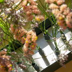 Jubel Vas från Vålamagasinet Krukor och vaser, Klong, Image-6