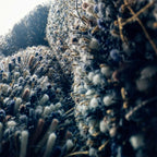 Tekla från Vålamagasinet Ullmattor, Kasthall, Image-3