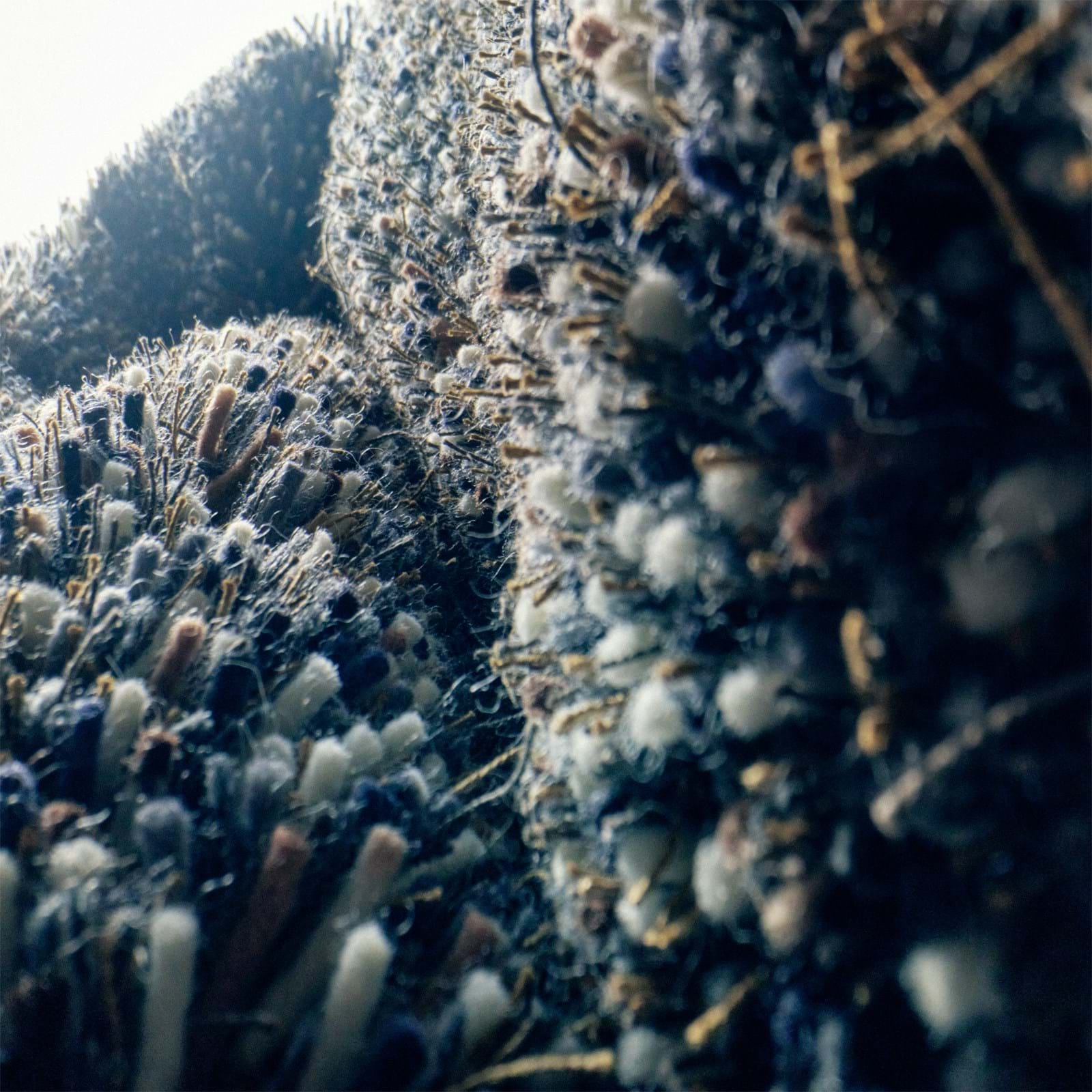 Tekla från Vålamagasinet Ullmattor, Kasthall, Image-3