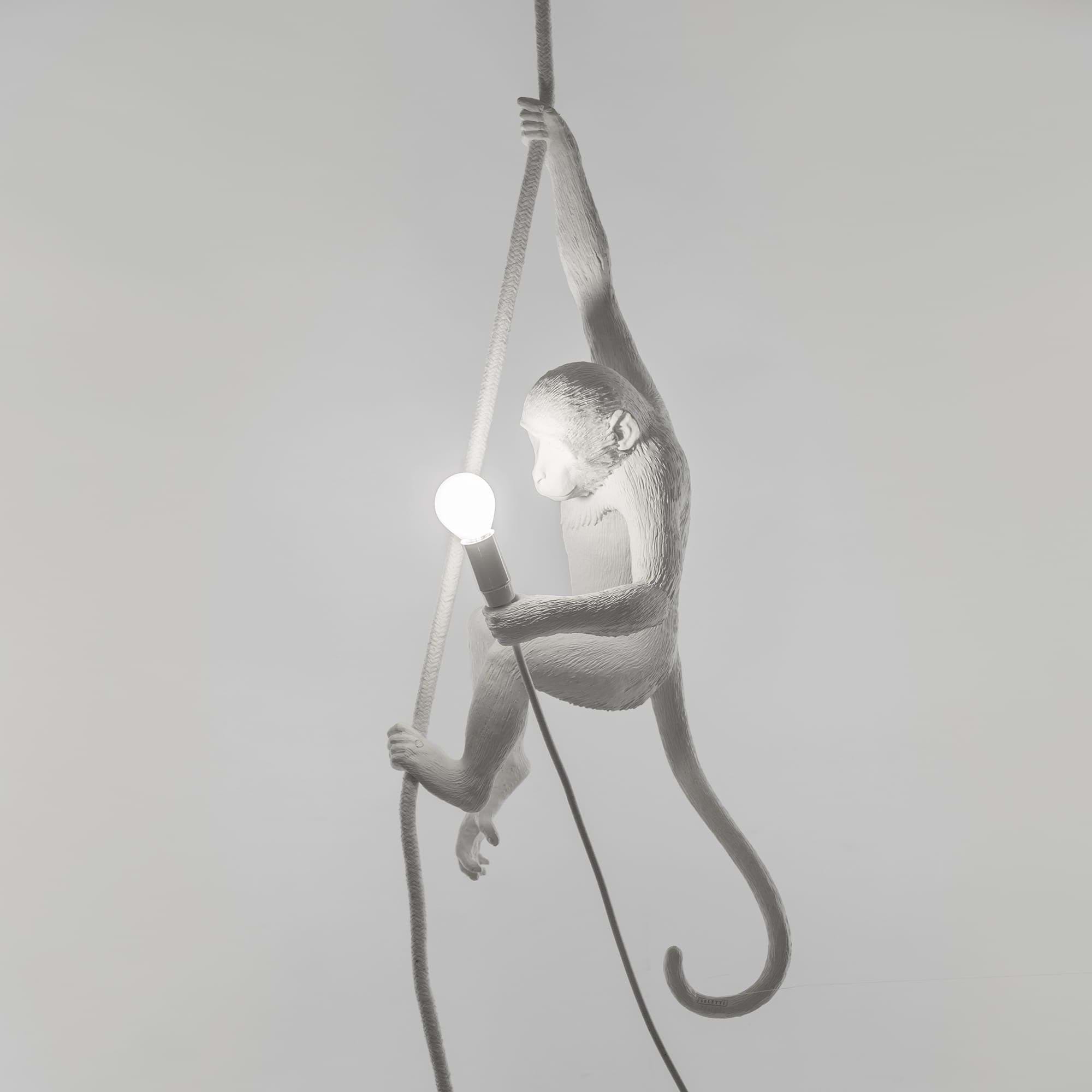 Monkey Lamp With Rope från Vålamagasinet Taklampor, Seletti, Image-2