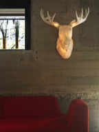 Moo Lamp från Vålamagasinet Vägglampor, Northern, Image-3