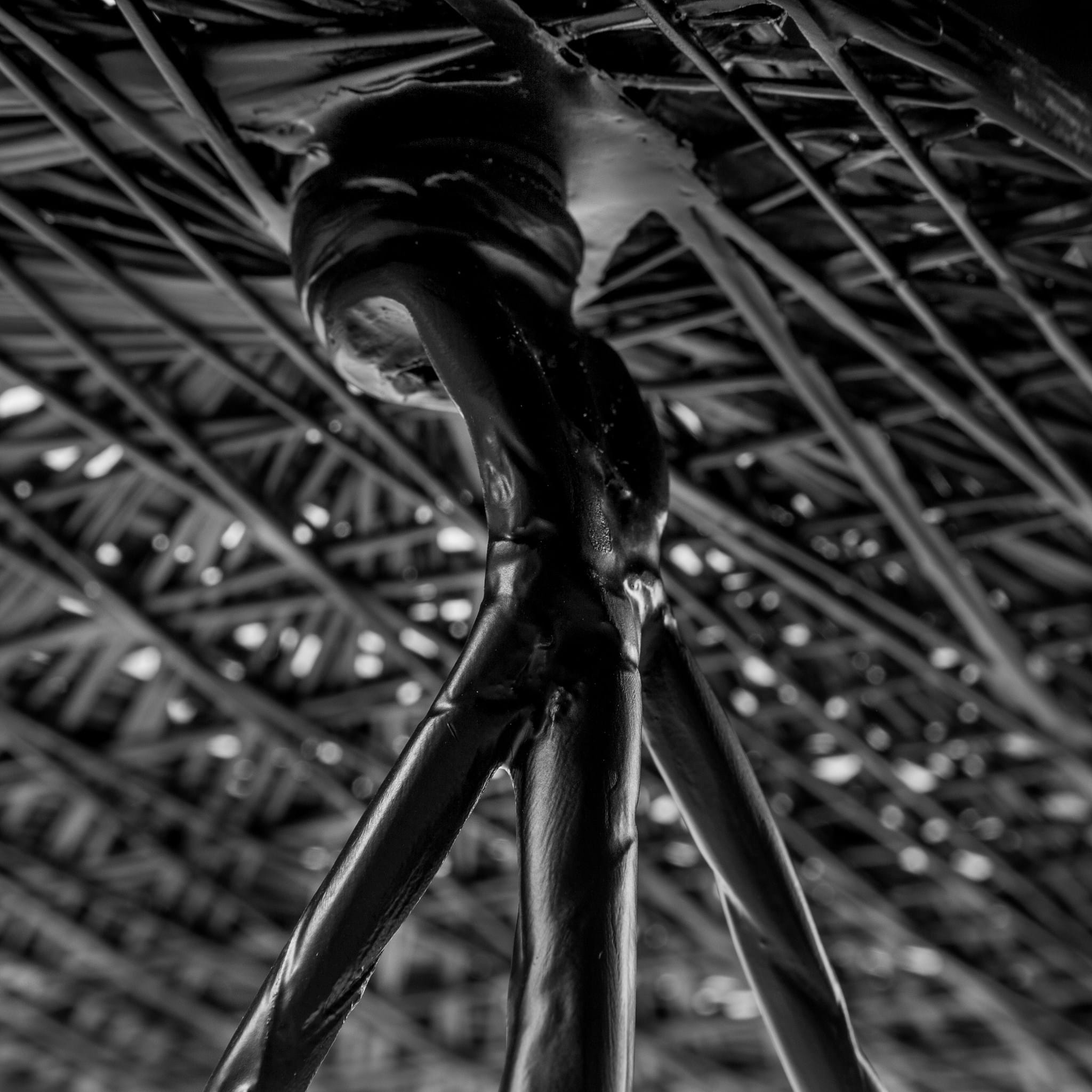 Carbon Chair från Vålamagasinet Matstolar, Moooi, Image-5