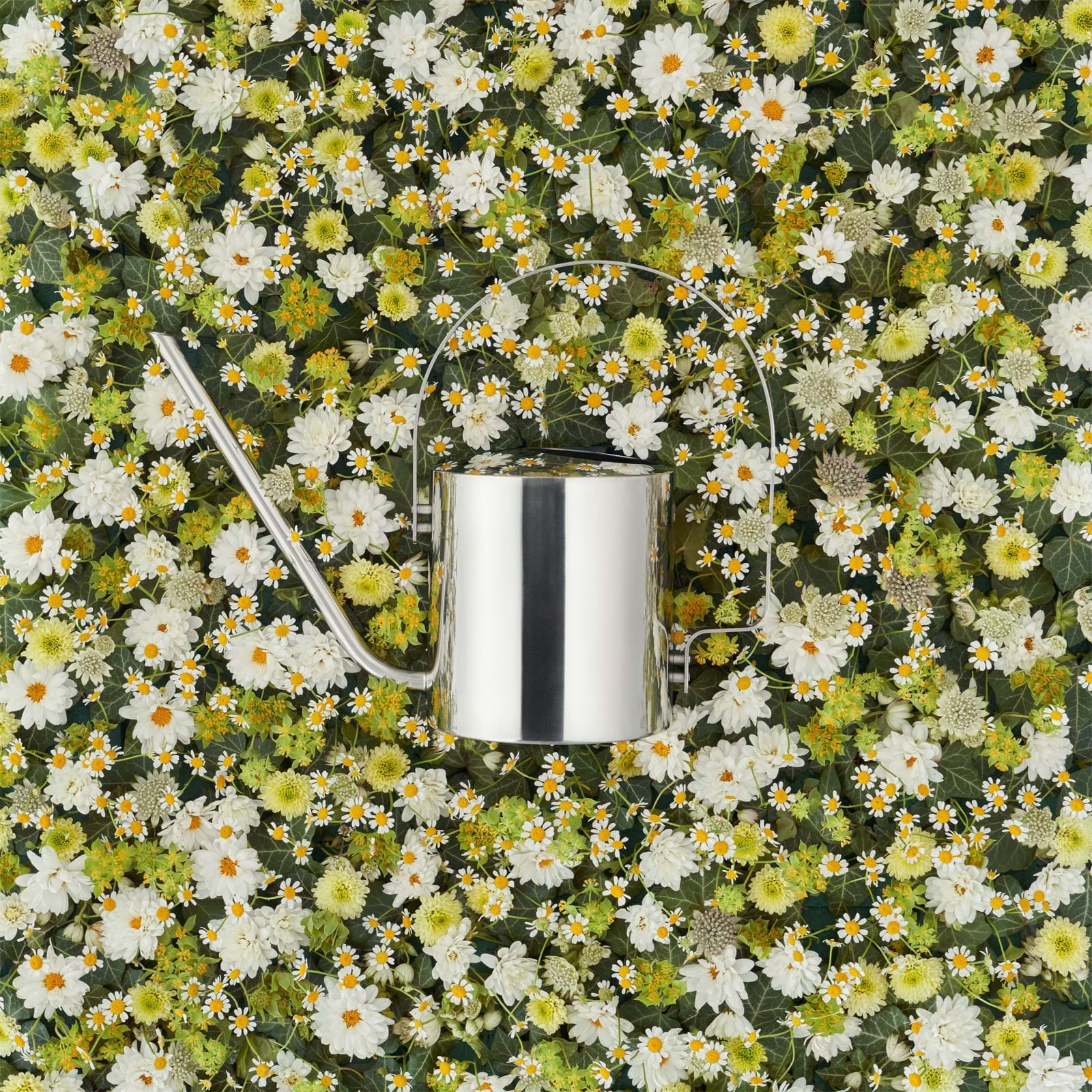 Orginal Vattenkanna 1,7 L från Vålamagasinet Övriga inredningsdetaljer, Stelton, Image-3