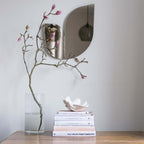 Perho Spegel från Vålamagasinet Speglar, Klong, Image-3