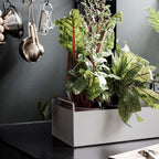 Plant Box Small från Vålamagasinet Krukor och vaser, Ferm Living, Image-2