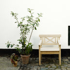 Drachmann Chair från Vålamagasinet Stolar utemöbler, Skagerak, Image-5